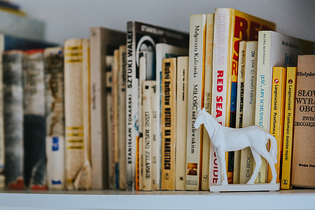 Books on a shelf thumbnail