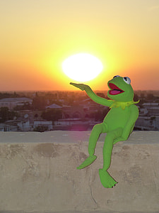 Kermit the Frog toy on wooden fence thumbnail