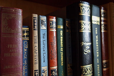 assorted-title books on brown wooden shelf thumbnail