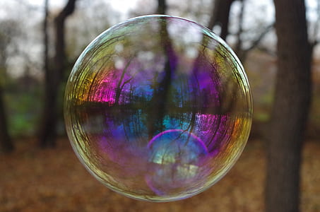 tilt shift view of clear bubble thumbnail