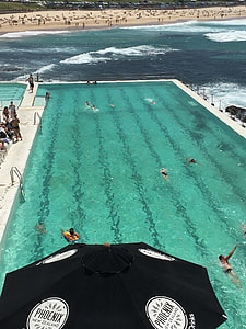 people on swimming pool near beach thumbnail