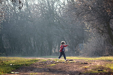 boy walking towards trees at daytime thumbnail