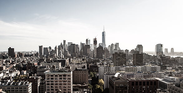 aerial photo of city at daytime thumbnail