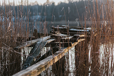 A walk by the lake thumbnail