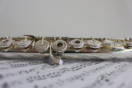 silver wind instrument thumbnail