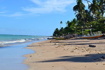 seashore under blue sky thumbnail