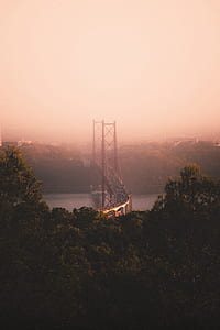 gray bridge surrounded with trees at daytime thumbnail
