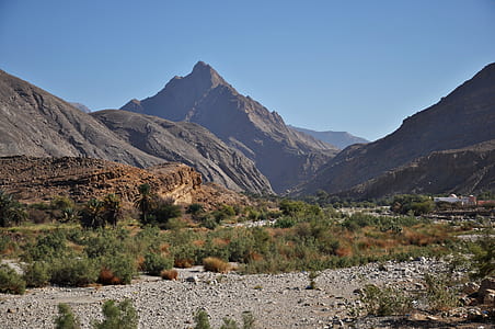 mountain and trees under blue sky thumbnail