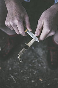 Person Holding Pocket Knife and Tree Branch thumbnail