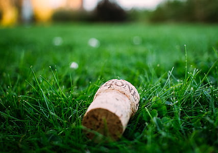 brown bottle cork on grass thumbnail
