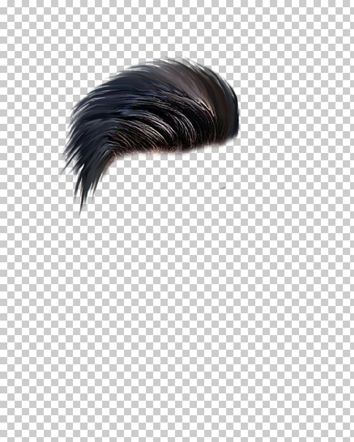 Editing Picsart Photo Studio C Multicolored Fur Illustration Png