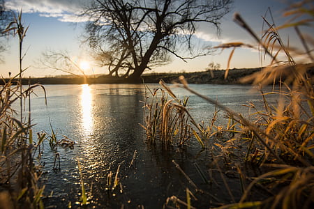 landscape photo of open sea during golden hour thumbnail