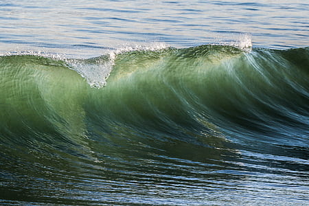 sea with jaws wave thumbnail