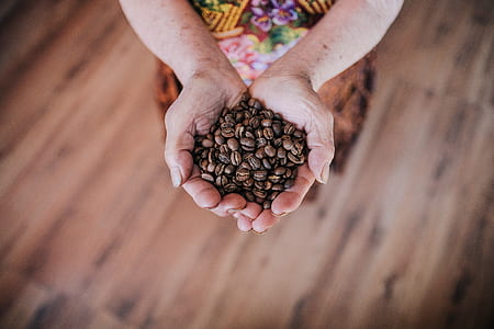 flat lay photography of person holding coffee beans thumbnail