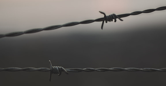 shallow focus photo of barbed wire thumbnail
