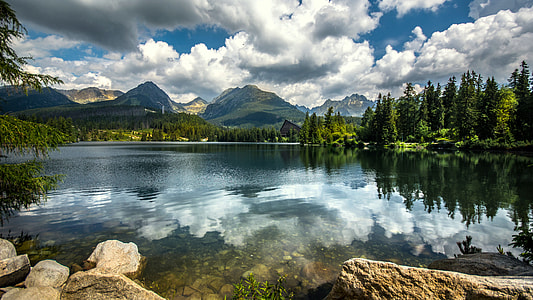body of water near green leafed trees during daytime thumbnail