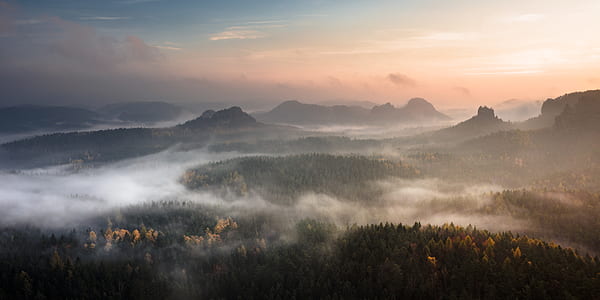 aerial photo half fog-covered trees on vast forest thumbnail