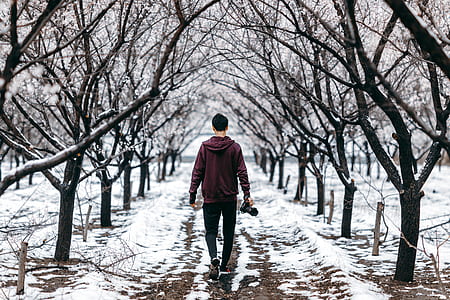 man walking on snow near leafless trees thumbnail