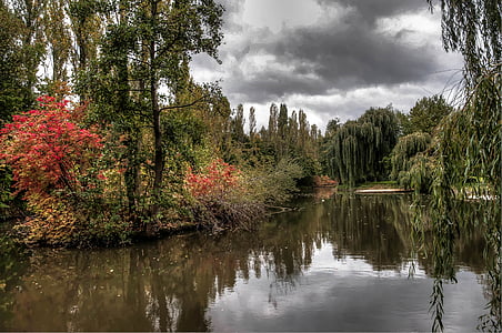 river surrounded by trees thumbnail