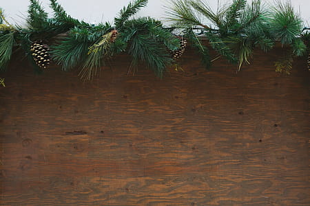 Wood Background Wth Festive Greenery Photo thumbnail