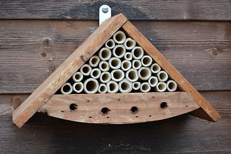 photography of wall mounted honeybee box thumbnail