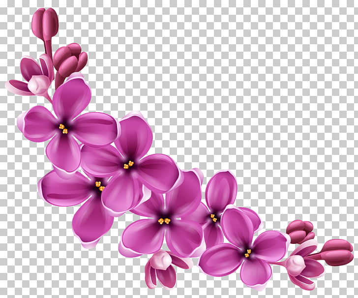 Flower , Spring Pink Floral Decor , purple flowers painting PNG clipart