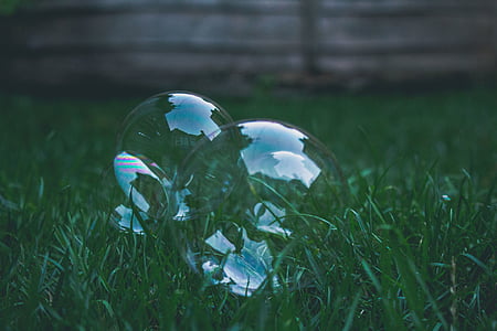 selective focus photography of bubbles on grass thumbnail