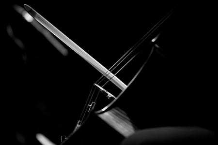 cello, bow, string, music thumbnail