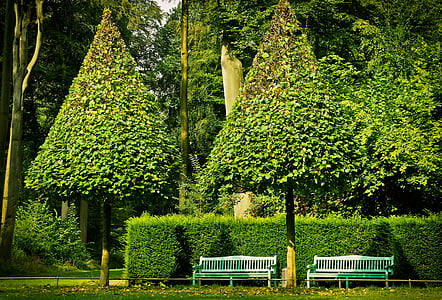 two white-and-green benches under tree thumbnail