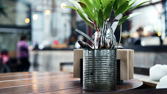 can of plant on top of table thumbnail