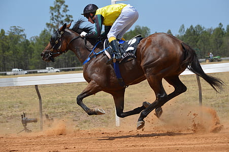 person riding horse thumbnail