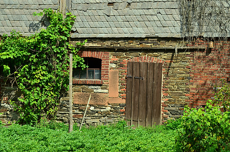 brown wooden door on gray concrete wall thumbnail