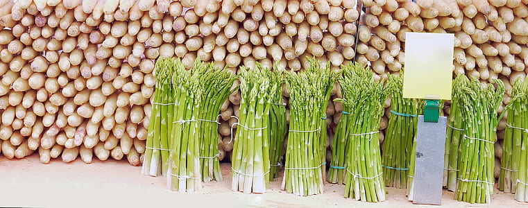 pile lucky bamboo thumbnail