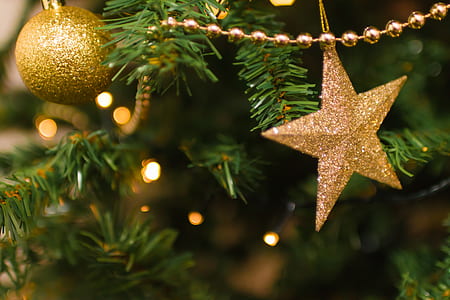 winter, blur, tree, christmas thumbnail