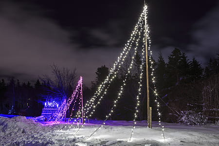 Bright and merry Christmas lights thumbnail