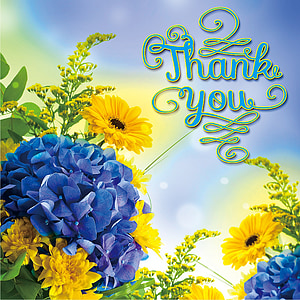assorted-color petaled flowers with thank you text overlayu thumbnail