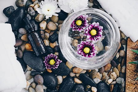 Fresh And Natural Spa Decor Photo thumbnail