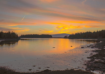 landscape photo of trees with body of water and mountain thumbnail