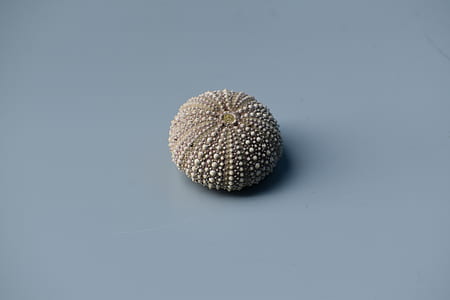 gray and white stone on gray textile thumbnail
