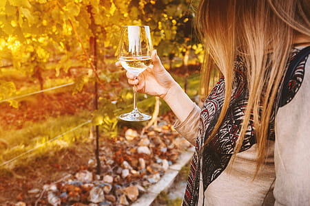Young woman holding glass of white wine on the vineyard thumbnail
