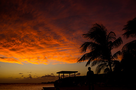 silhouette of man near body of water during golden hour thumbnail