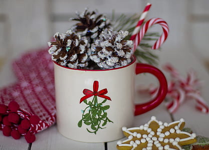 white and red ceramic mug with pinetree fruits thumbnail