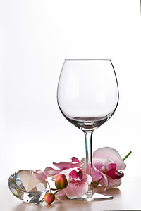 clear long-stemmed wine glass beside pink orchid flower thumbnail
