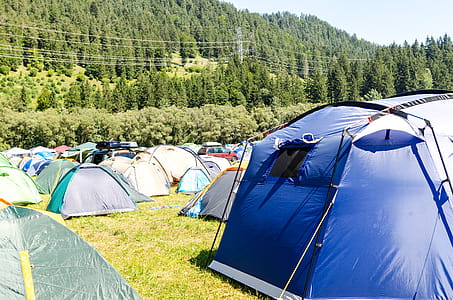 Tents Surrounded by Trees thumbnail