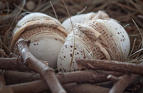 three white poultry eggs on nest thumbnail