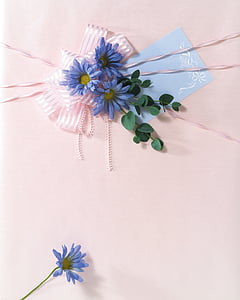 flat lay photography of blue flower thumbnail
