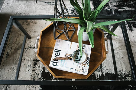 white ceramic plant pot with aloe vera on top of wooden tray thumbnail