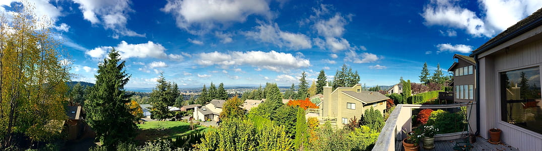 aerial view of terrace near trees thumbnail