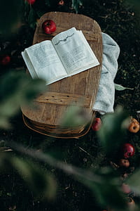 book on brown basket thumbnail
