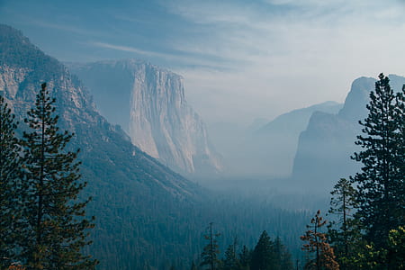 green trees near mountains thumbnail
